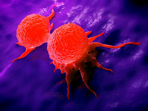 dividing-breast-cancer-cells.jpg