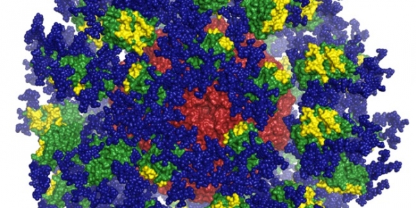 the-eod-gt8-60mer-immunogen.jpg